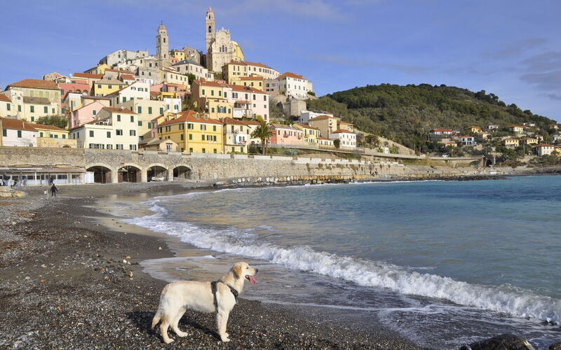 Pet Friendly Holiday homes