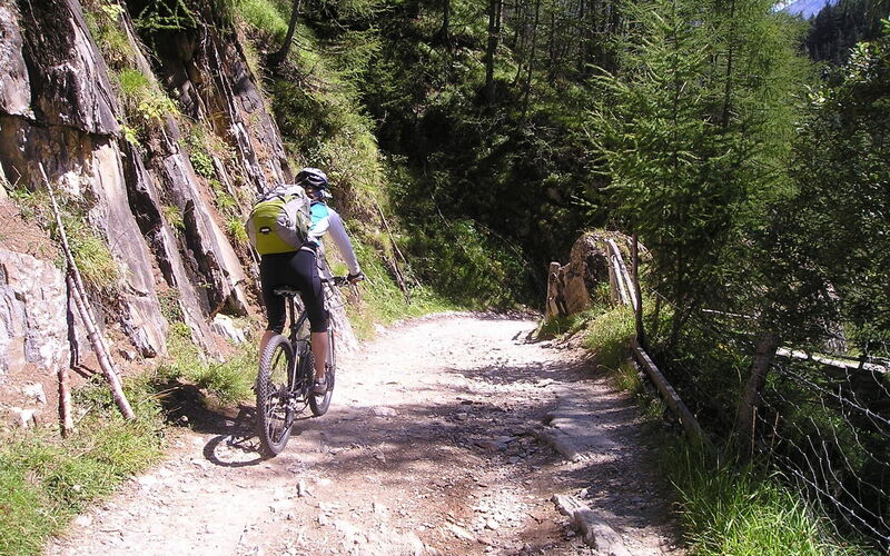 Book Your Escape Today